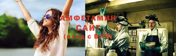 шишки Осташков