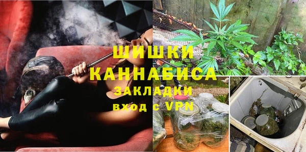 Альфа ПВП Мегион