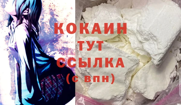 молекула духа Медвежьегорск