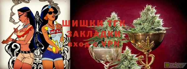 молекула духа Медвежьегорск