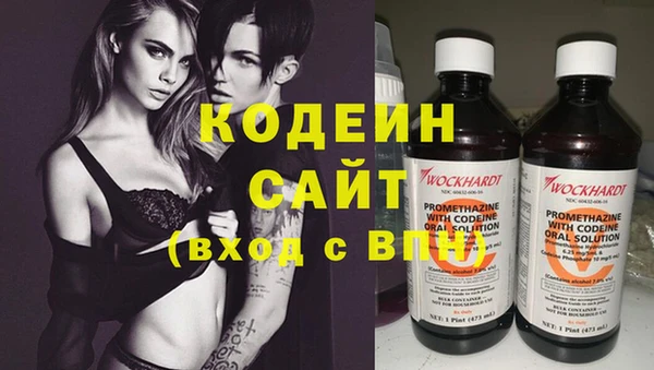 молекула духа Медвежьегорск