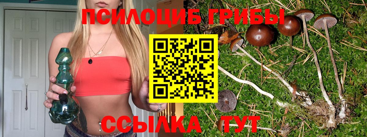 Псилоцибиновые грибы Cubensis  Псилоцибиновые грибы прущие грибы  Вход с VPN  Новокузнецк 