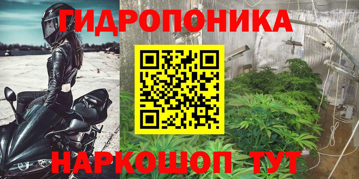 МАРИХУАНА MAZAR  Каннабис OG Kush  Новокузнецк  Вход с VPN  МАРИХУАНА конопля 